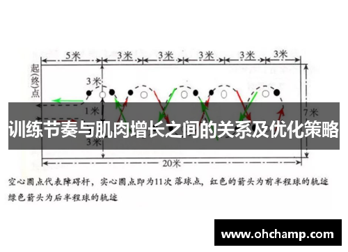训练节奏与肌肉增长之间的关系及优化策略